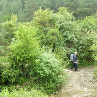 p1000509