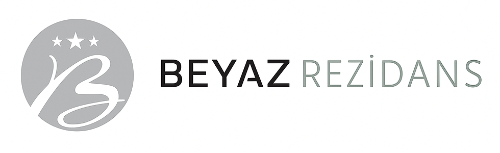 logo (2).png