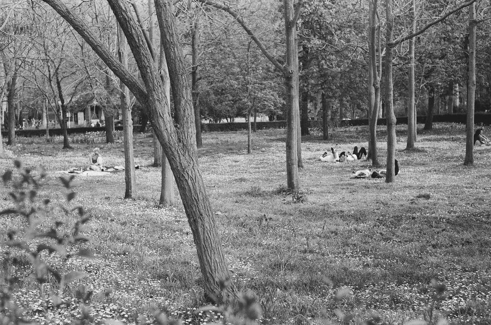 178 - 4088 - Kent 400 MEDIA - Philipe Amorim -24.jpg