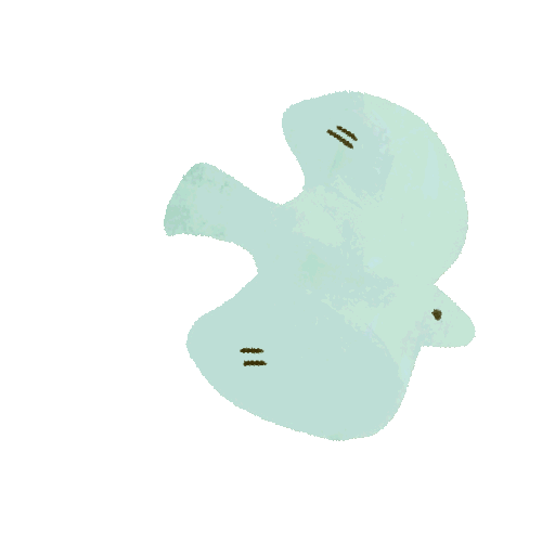 yuaitoBird 2.gif