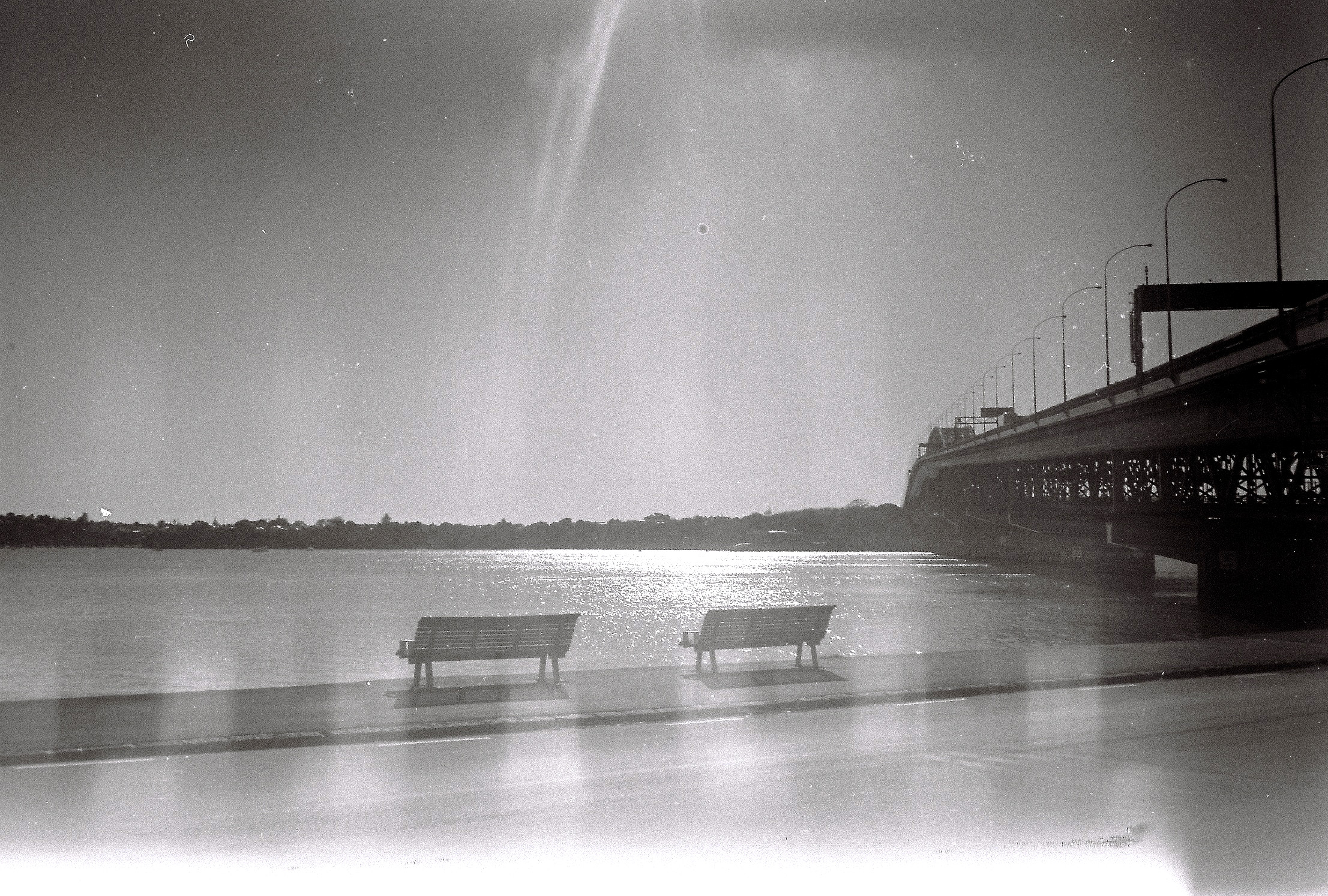 35mm Black and White film, 2017