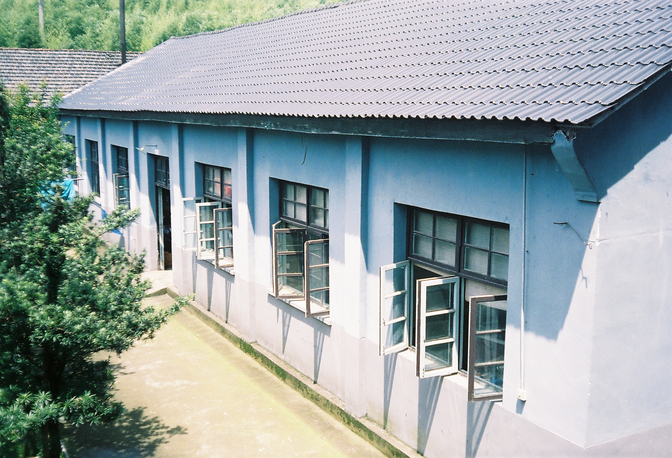 35mm colour 2016