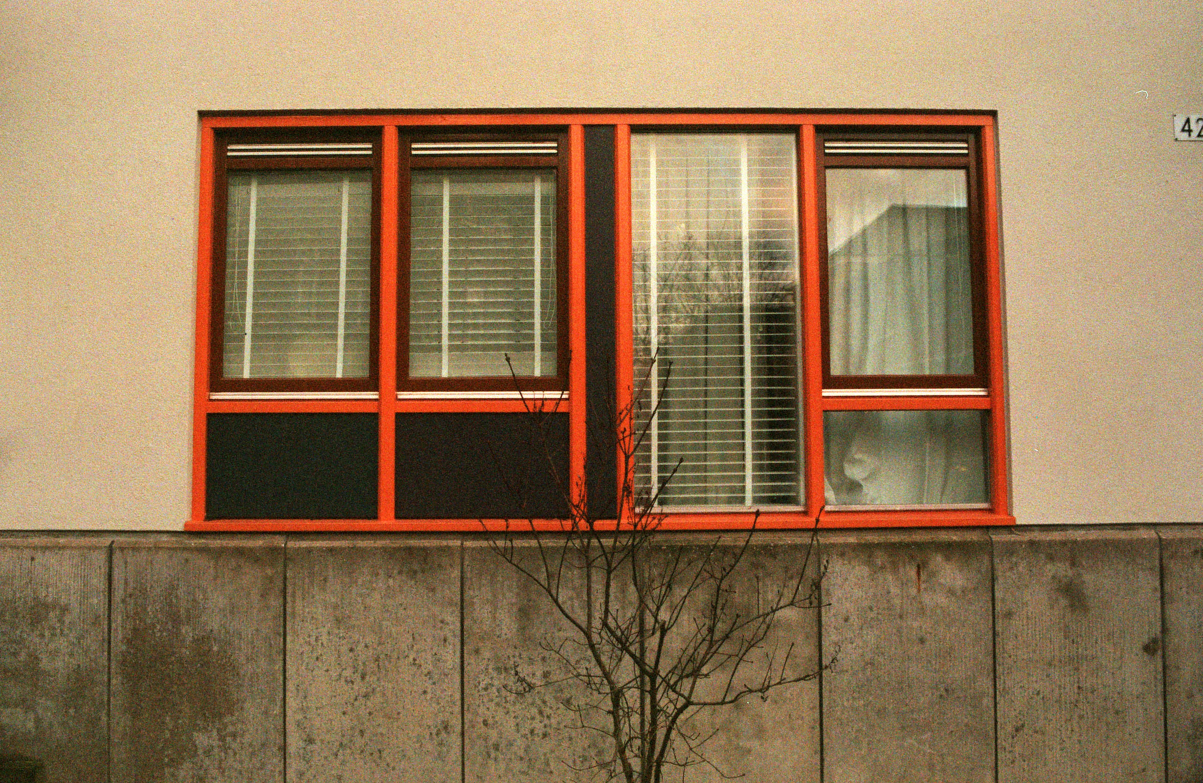 Windows, 2018