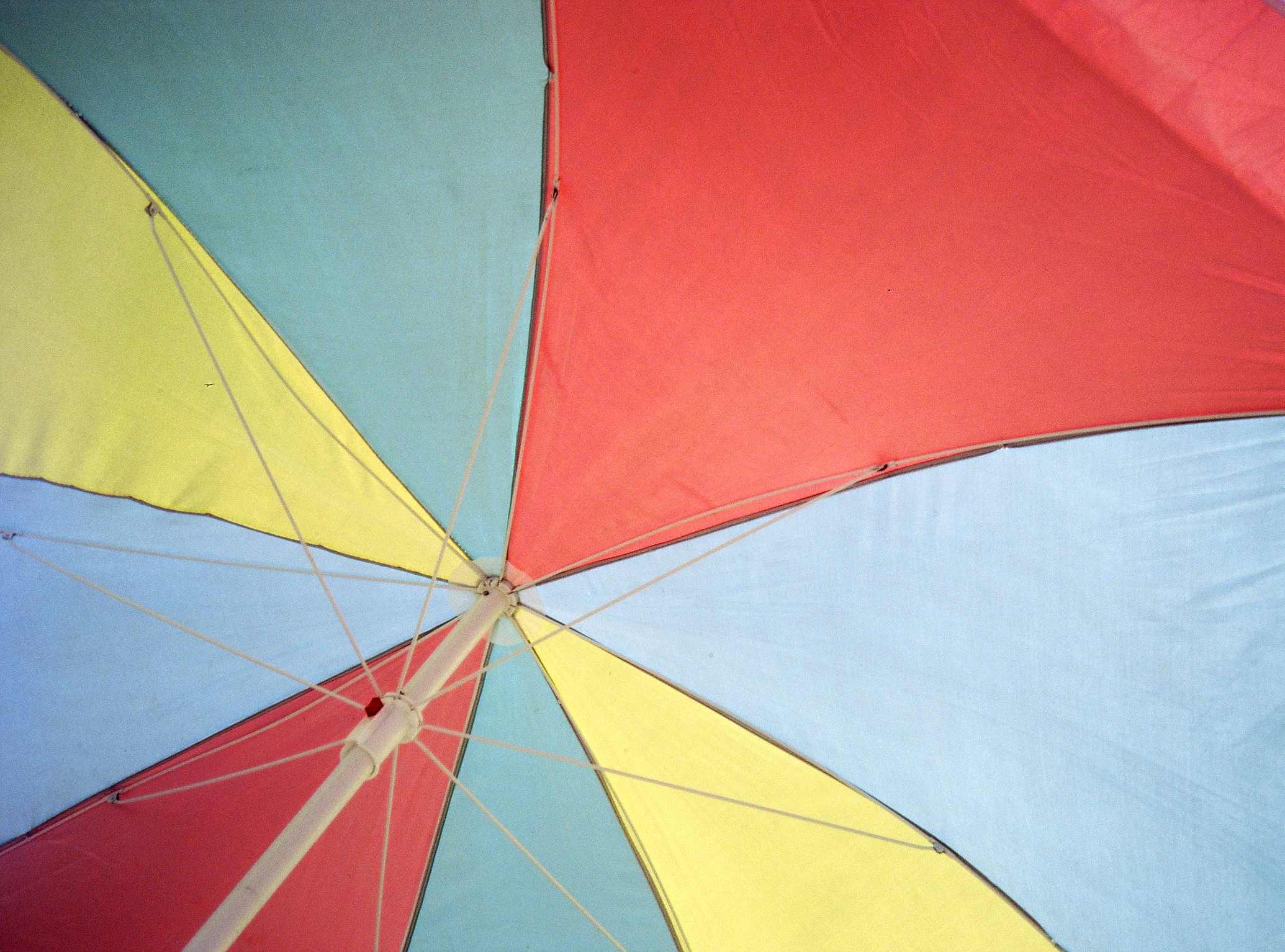 Umbrella