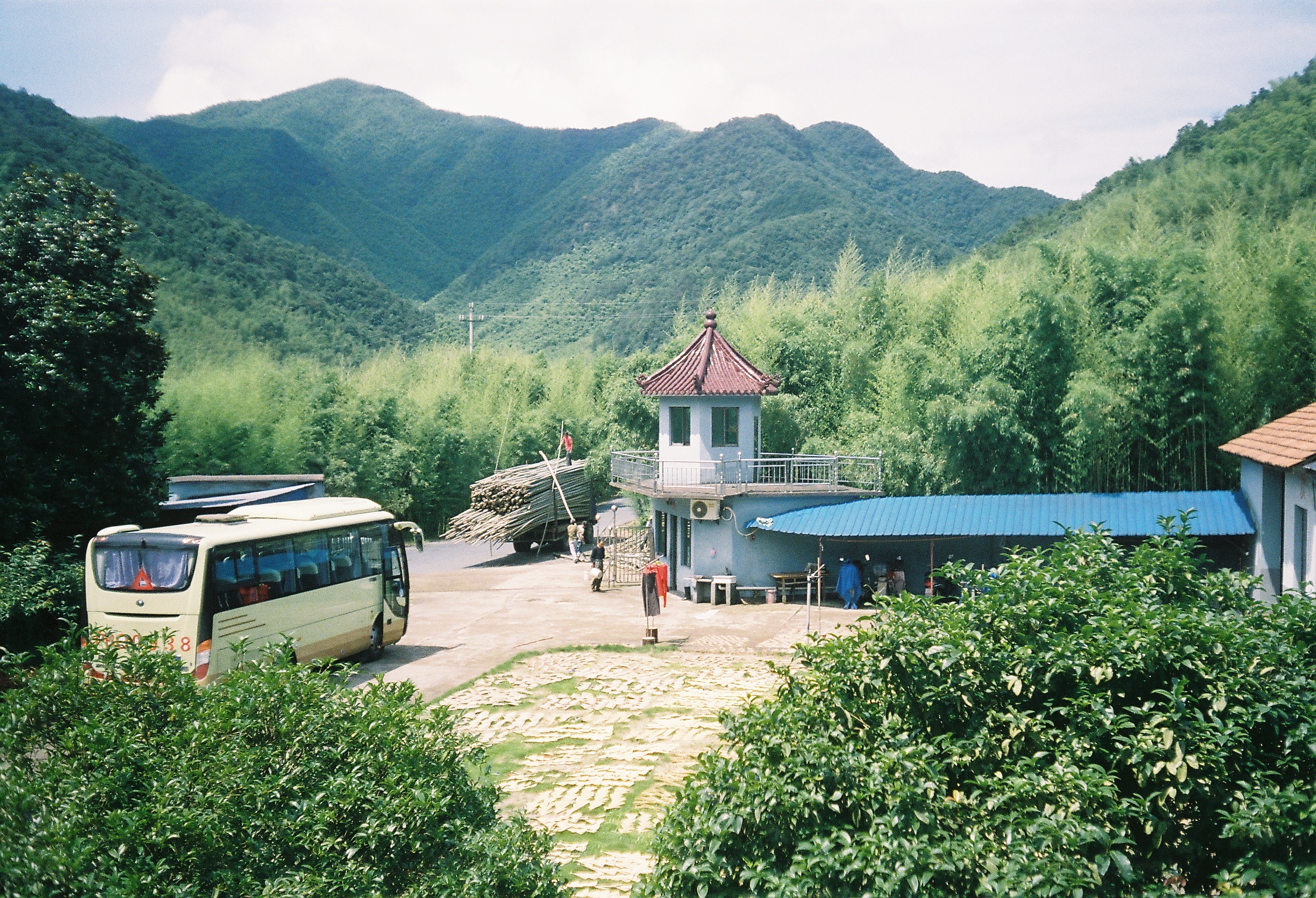 Bamboo Factory