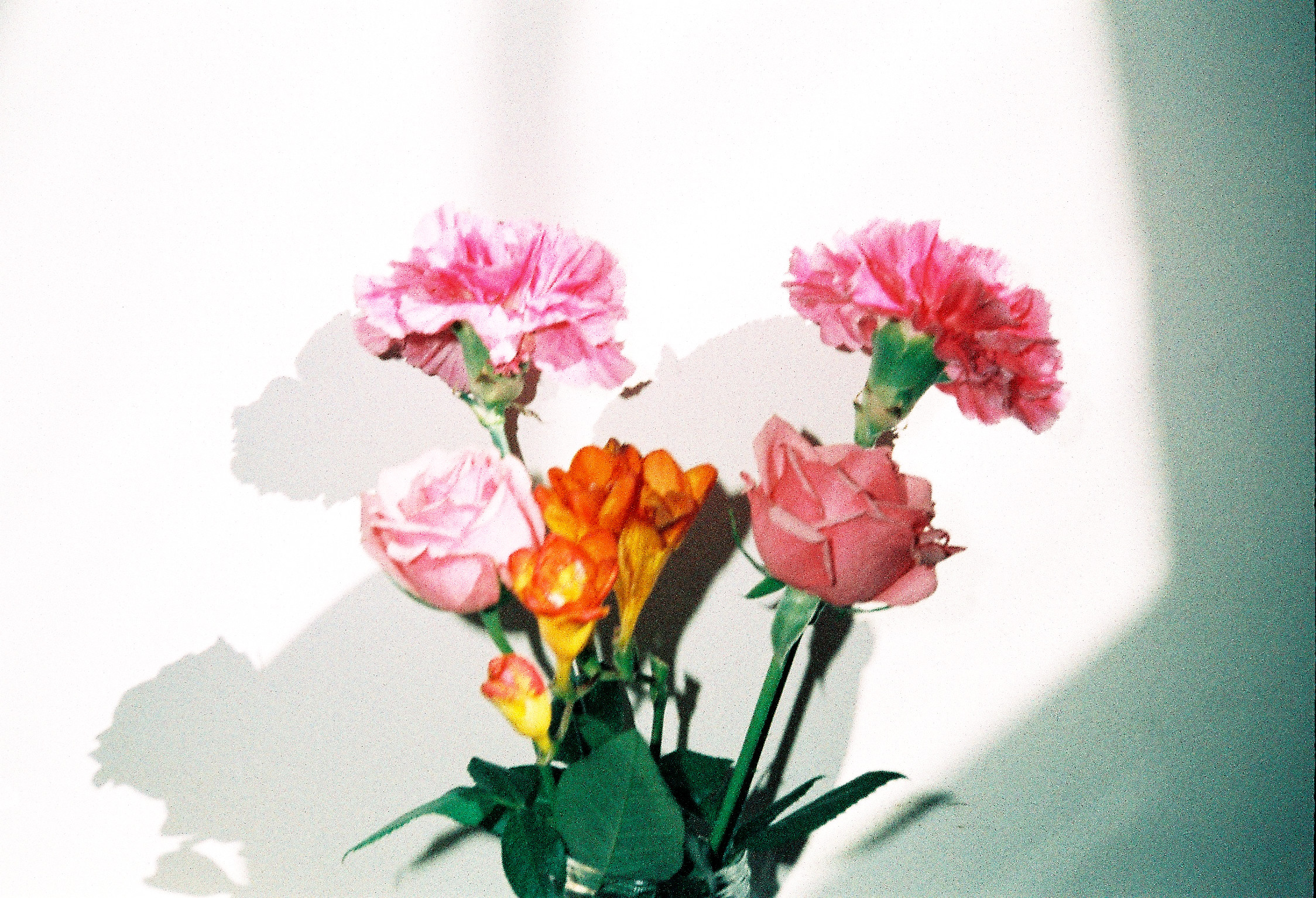 35mm colour, 2017.