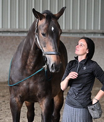 Cheval attentif et connecté au cavalier grâce ç l'éducation à la voix