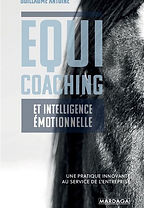 Equicoaching-et-intelligence-emotionnelle.jpg