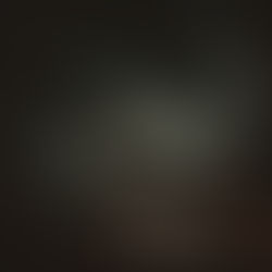 February Worship Events You Can’t Miss Out On.