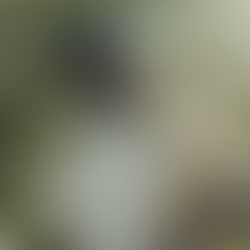 Devotion : Marizu and Eric Ford Unite in a Stirring Sound of Worship and Assurance.