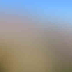 swiss guesthouse sitters remplacement hotelier bed and breakfast mafate col du bronchard