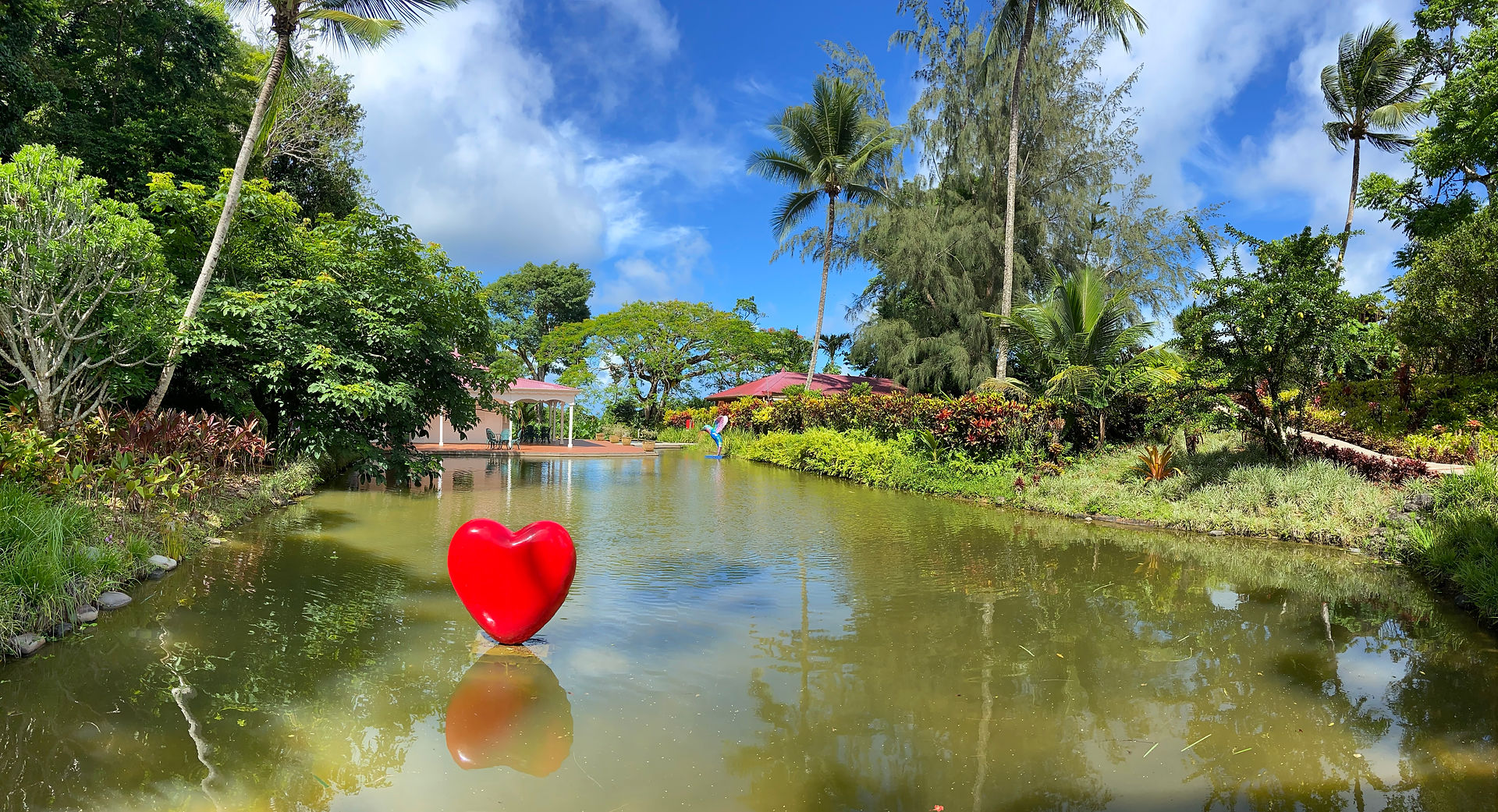 swiss guesthouse sitters remplacement maison d'hôtes bed and breakfast guadeloupe jardin botanique valombreuse guadeloupe caraibe