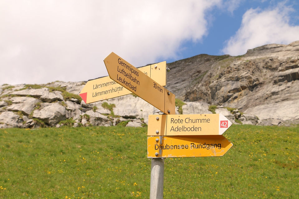 swiss guesthouse sitters remplacement maison d'hôtes bed and breakfast chalet diognysos valais gummi