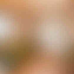 swiss guesthouse sitters remplacement cabanes insolite  maison d'hotes chartreuse 