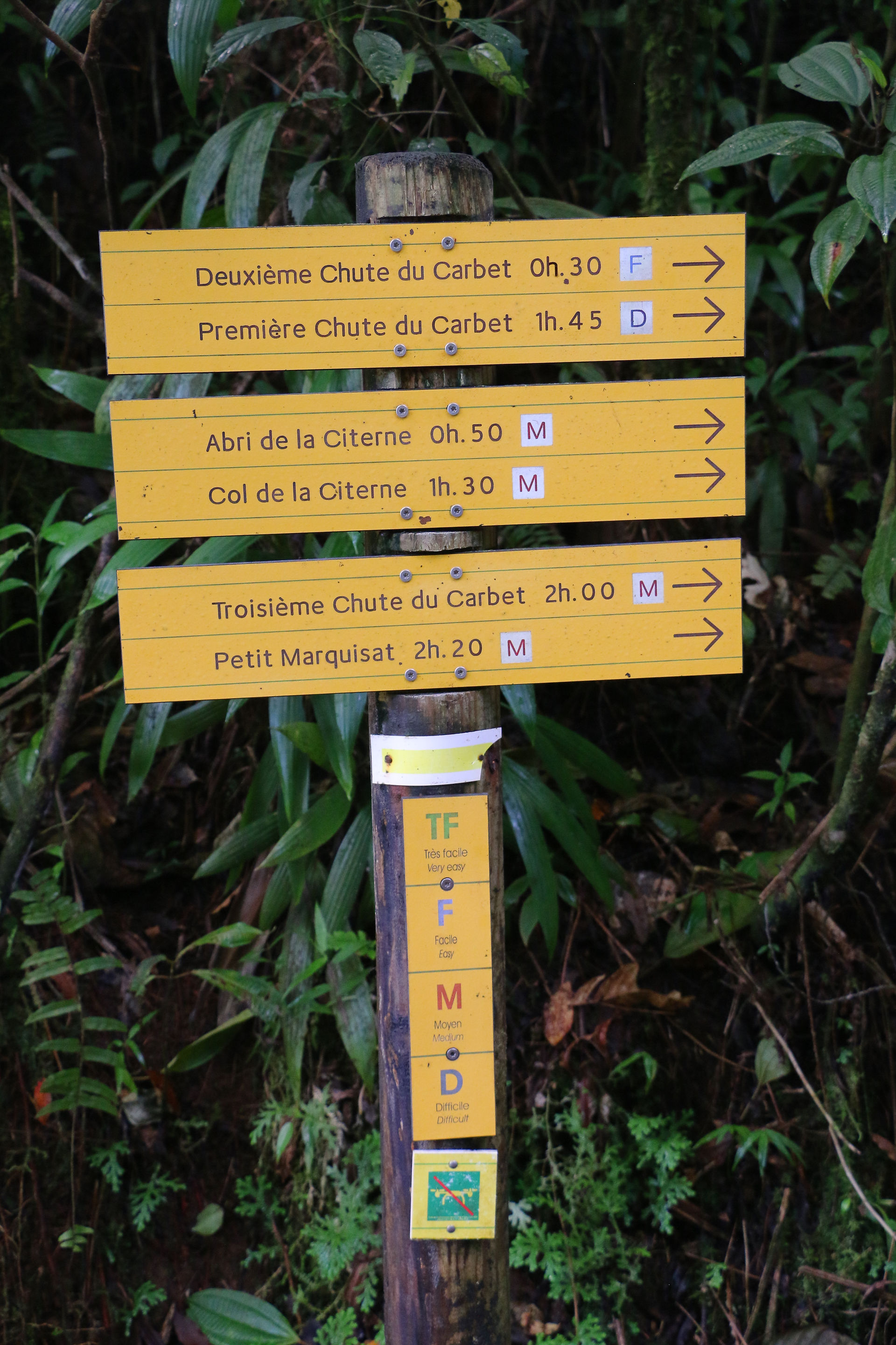 swiss guesthouse sitters remplacement maison d'hotes bed and breakfast guadeloupe chutes du carbet 