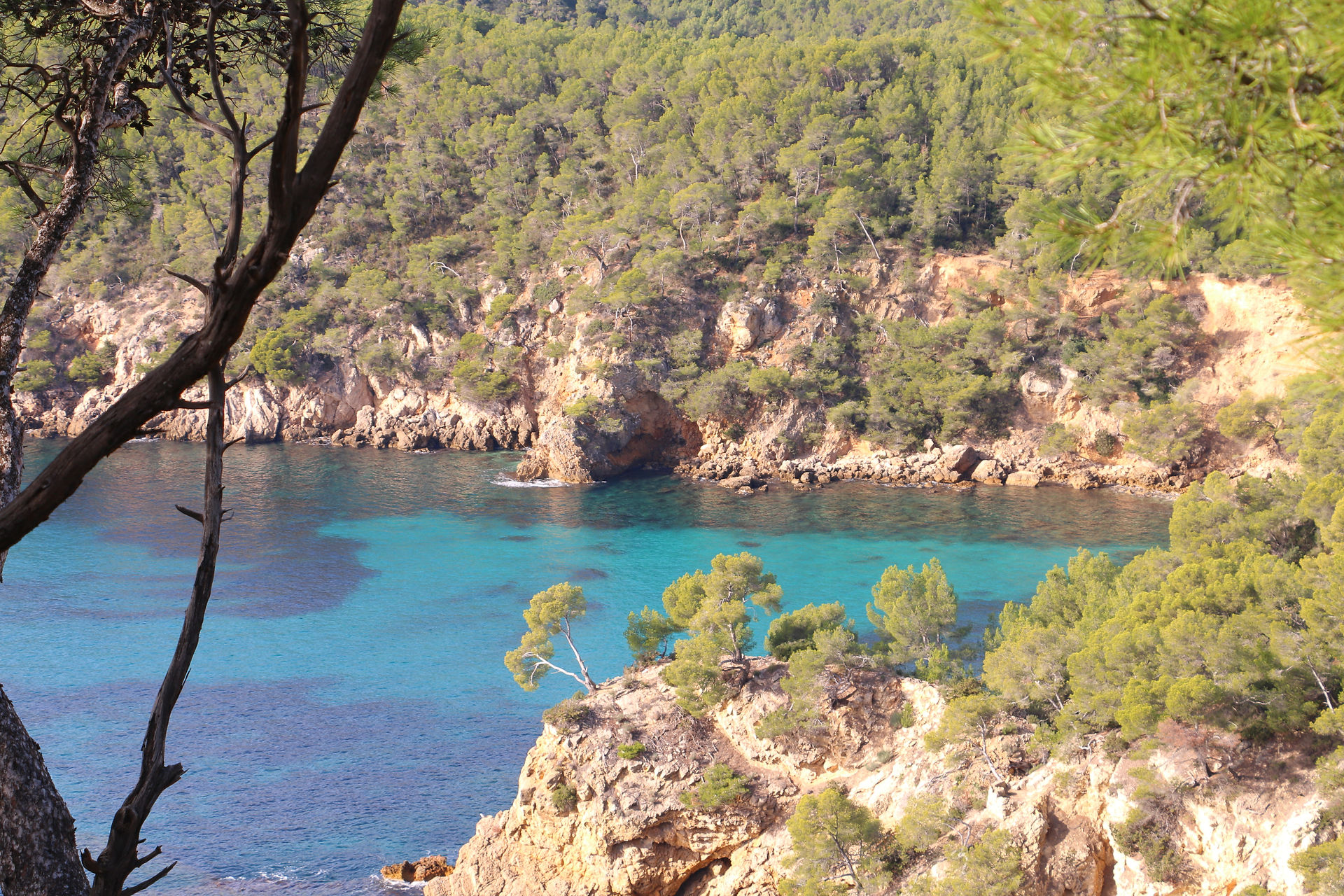 swiss guesthouse sitters remplacement maison d'hotes calanques bed and breakfast 