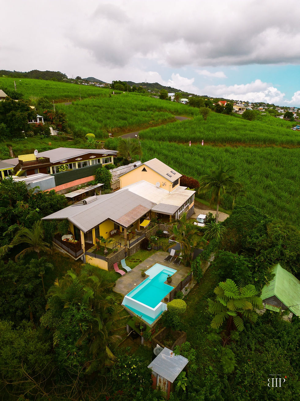 swiss guesthouse sitters remplacement maison d hote la reunion case beauregard bed and breakfast