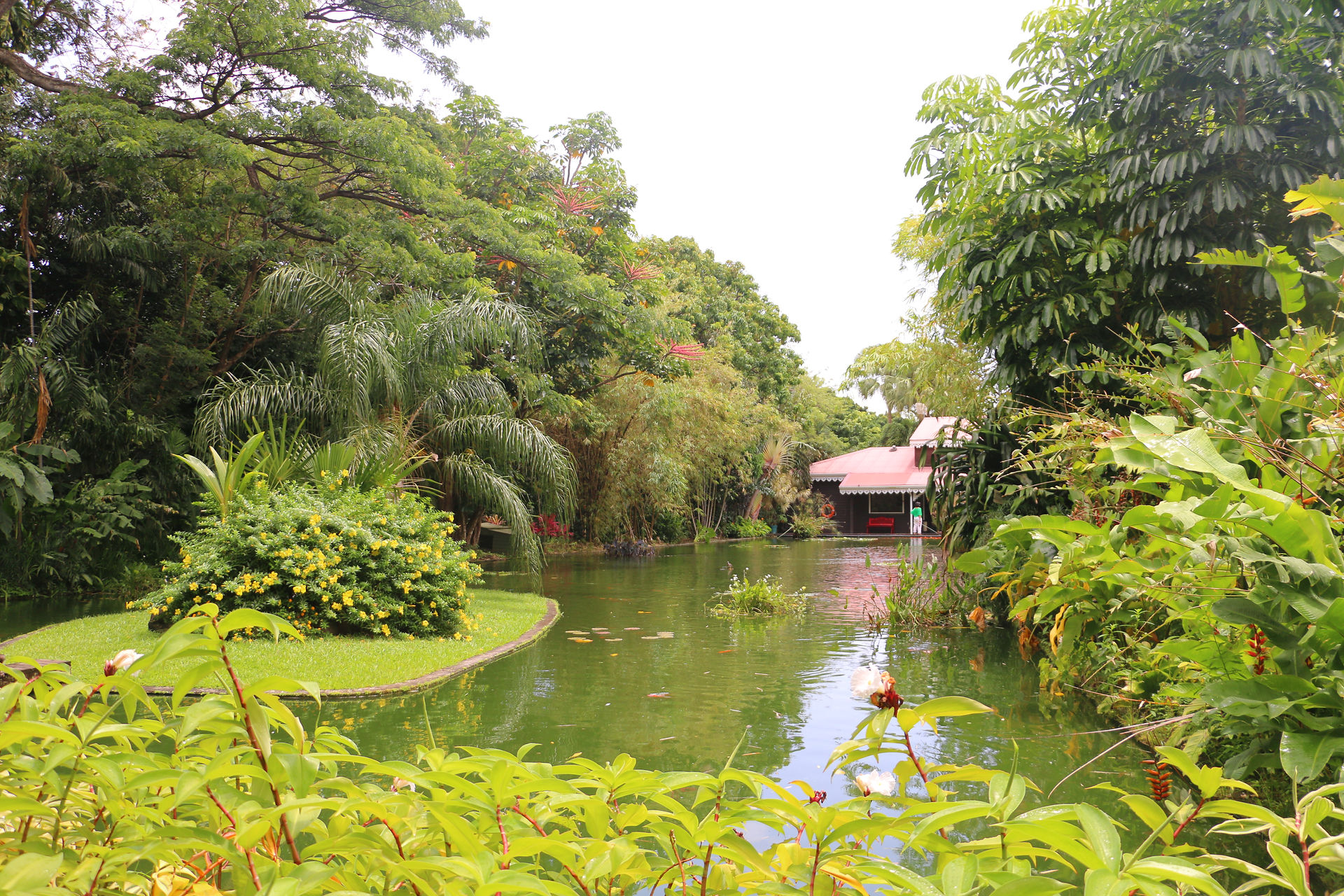swiss guesthouse sitters maison d'hotes guadeloupe carre royal  jardin botanique