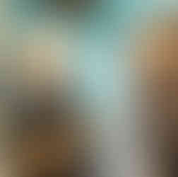 swiss guesthouse sitters remplacement maison d hote la reunion case beauregard bed and breakfast