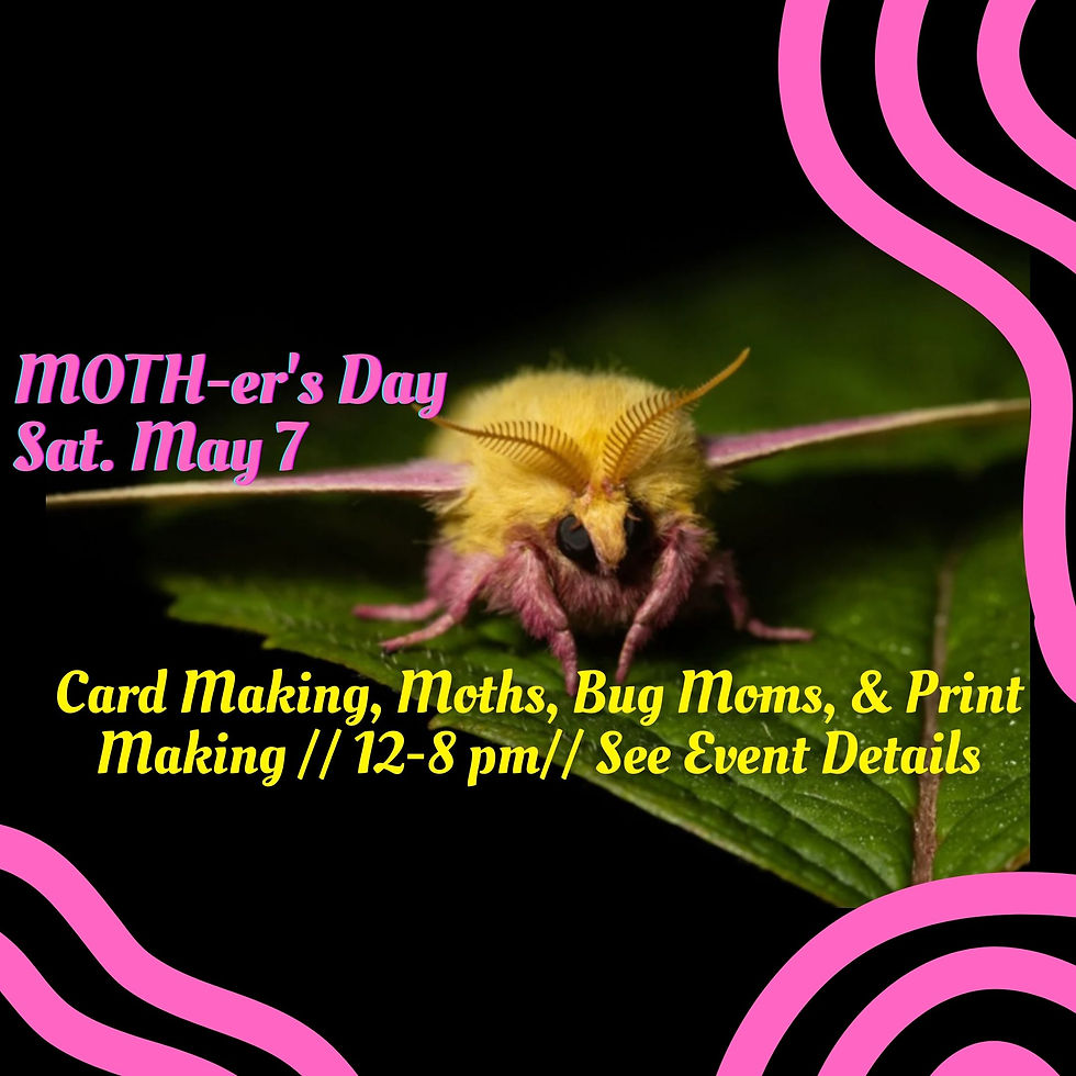 MOTH-er's Day w/ Portland Insectarium