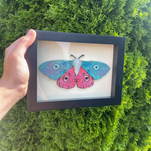 moth.png
