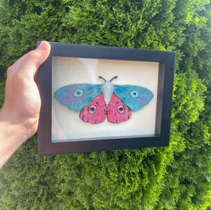 moth.png