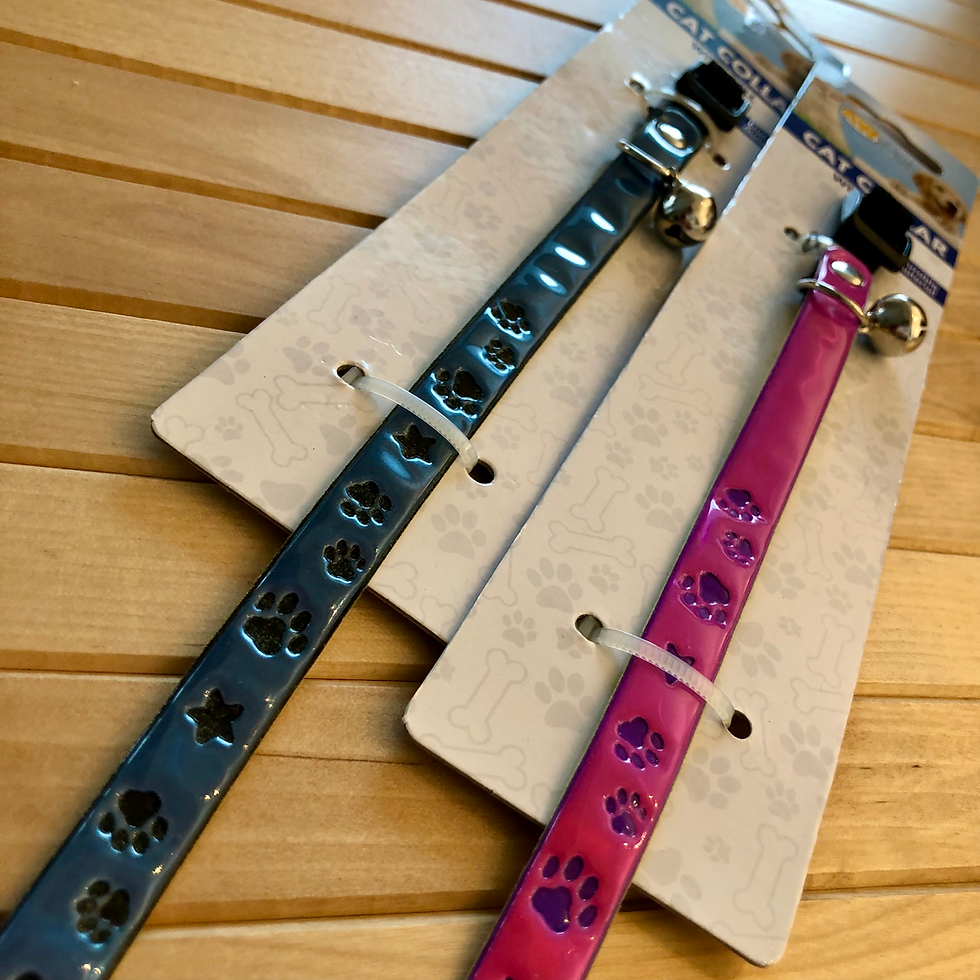 Cat Collar with Bell