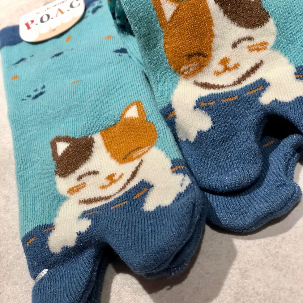 Thumbnail: Split Toe Socks - Cat (Blue)