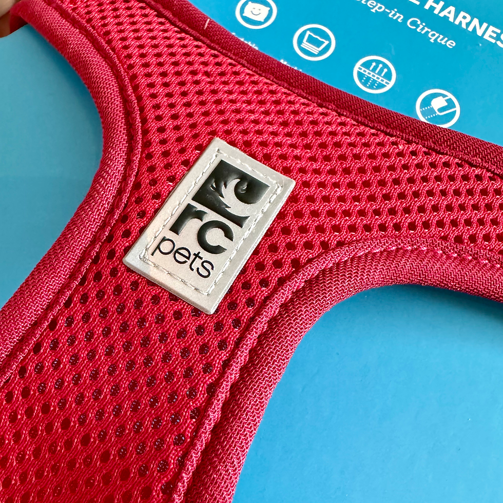 섬네일: RCPETS Solid Step In Cirque Harness - XS (Red)