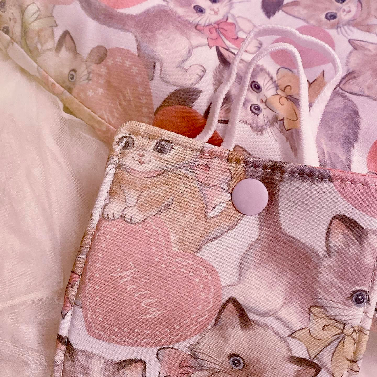 Face Mask Carrying Pouch