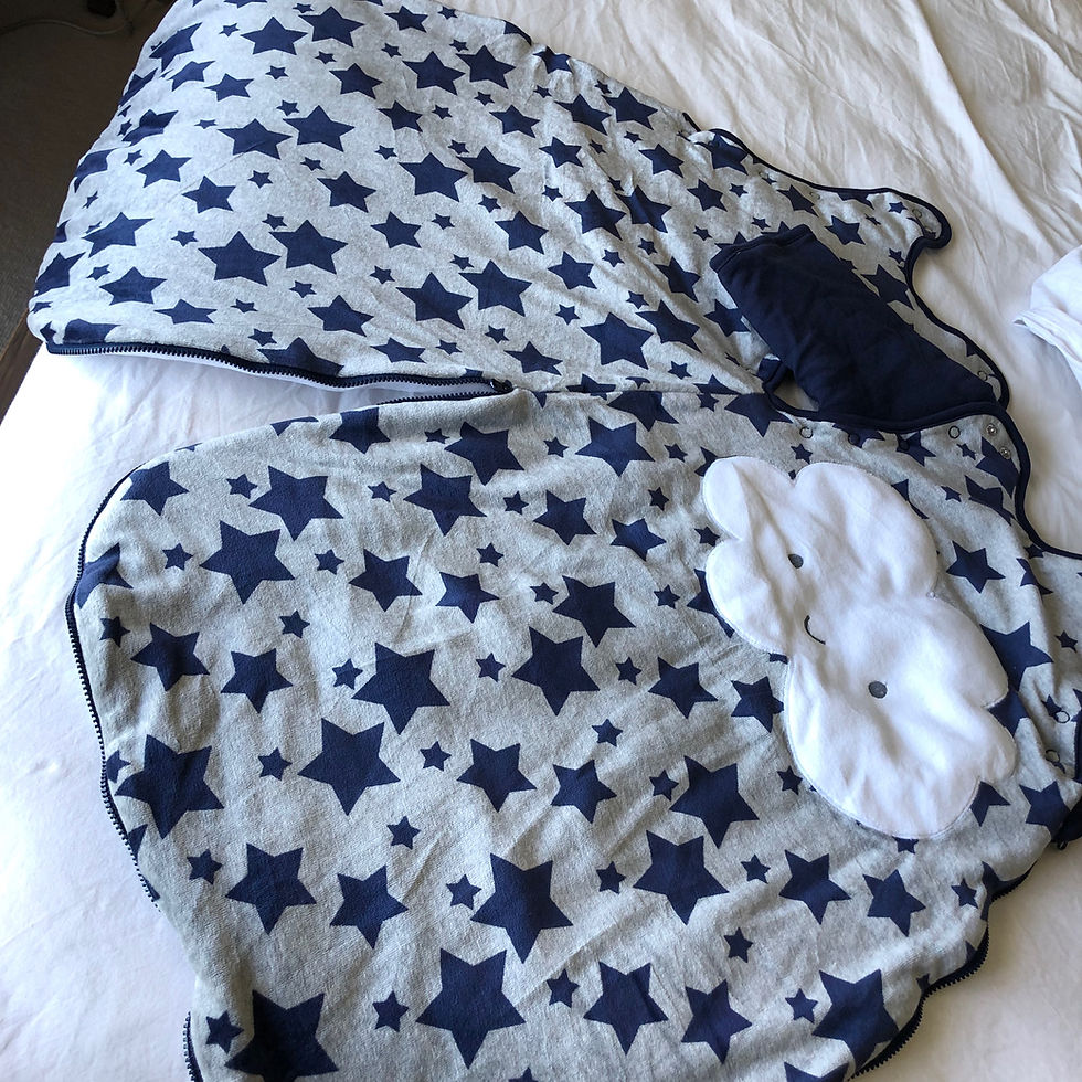 थंबनेल: Baby Long Sleeve Wearable Sleeping Bag/Blanket (0-6mths)