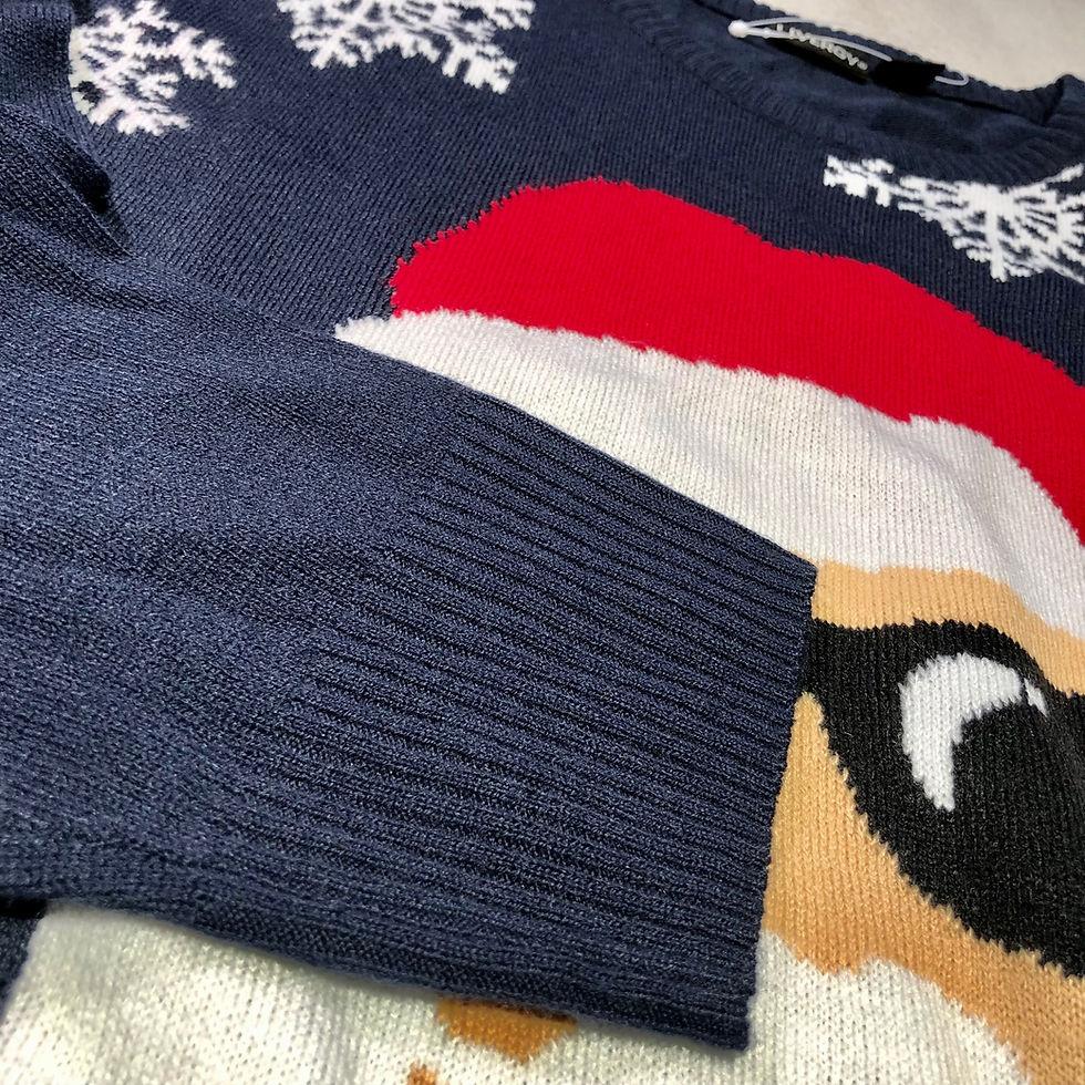 Thumbnail: LIVERGY Long Sleeve Crew Neck Christmas Sweater - S (Blue)