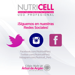 louhanne_coronado_nutricell_perú_redes_sociales_diseño_louhanne_coronado