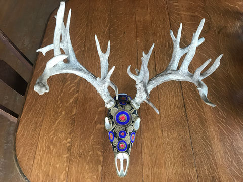 Pen raised sheds.JPG