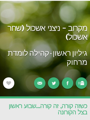 גיליון של ביה"ס ניצני אשכול(שחר אשכול) - מקסים!