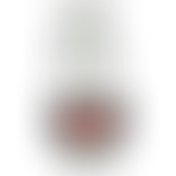 𝐋𝐎𝐆𝐎 𝐂𝐎𝐍𝐌𝐄𝐌𝐎𝐑𝐀𝐓𝐈𝐕𝐎 𝟏𝟐𝟓 𝐀𝐍𝐈𝐕𝐄𝐑𝐒𝐀𝐑𝐈𝐎 𝐃𝐄 𝐍𝐓𝐑𝐀 𝐒𝐄𝐍̃𝐎𝐑𝐀 𝐃𝐄 𝐋𝐀 𝐄𝐒𝐏𝐄𝐑𝐀𝐍𝐙𝐀