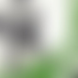 𝐂𝐀𝐑𝐓𝐄𝐋 𝐀𝐍𝐔𝐍𝐂𝐈𝐀𝐃𝐎𝐑 𝐌𝐀𝐑𝐓𝐄𝐒 𝐒𝐀𝐍𝐓𝐎 𝟐𝟎𝟐𝟔