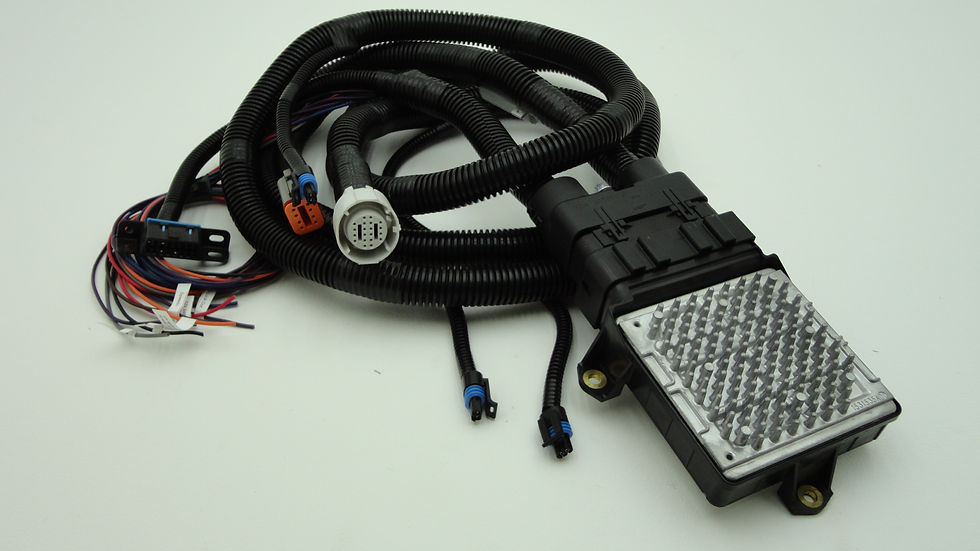 6 speed wire harness with tcm.JPG