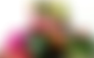 SPRING TIME Y PRIMAVERA