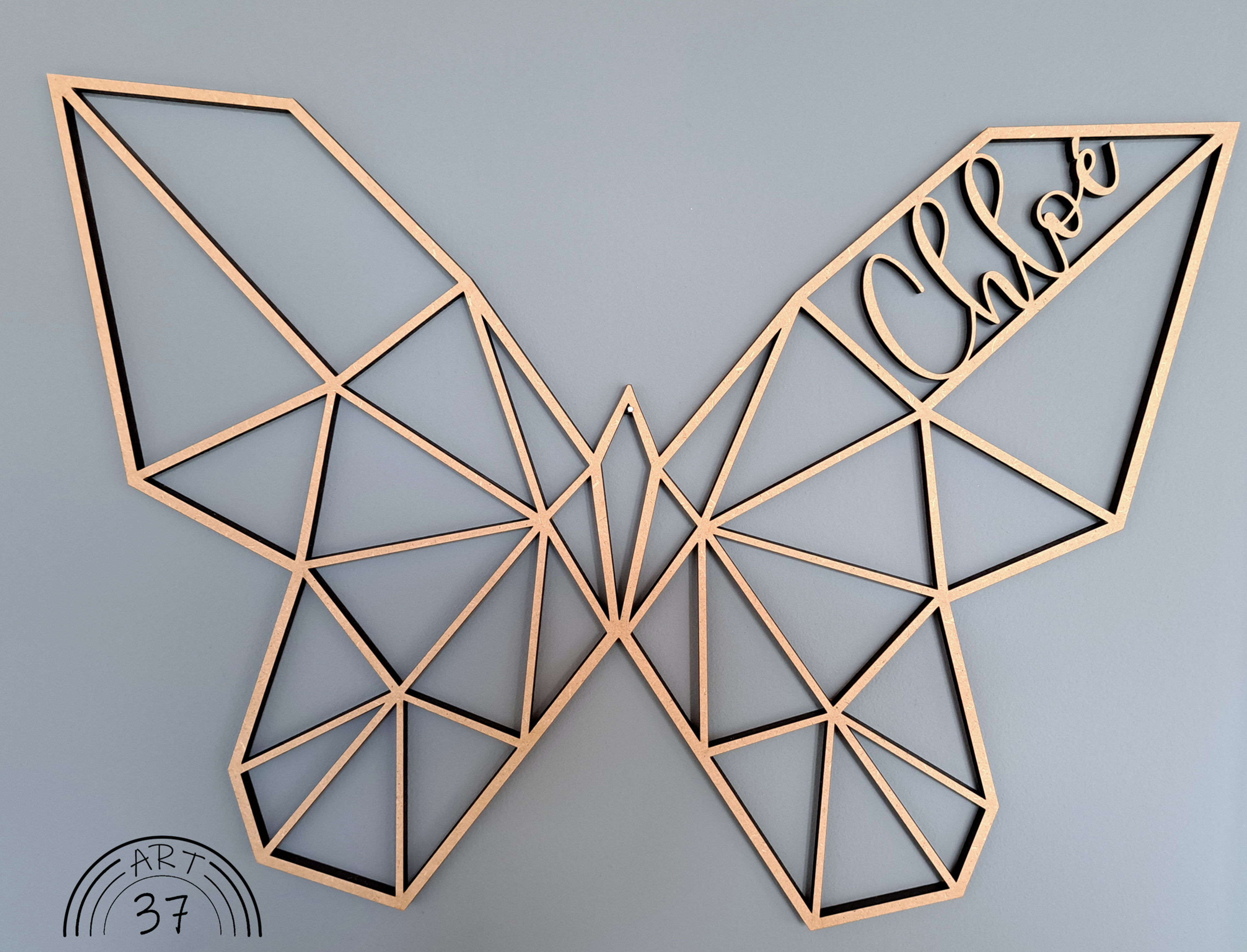 Papillon géométrique