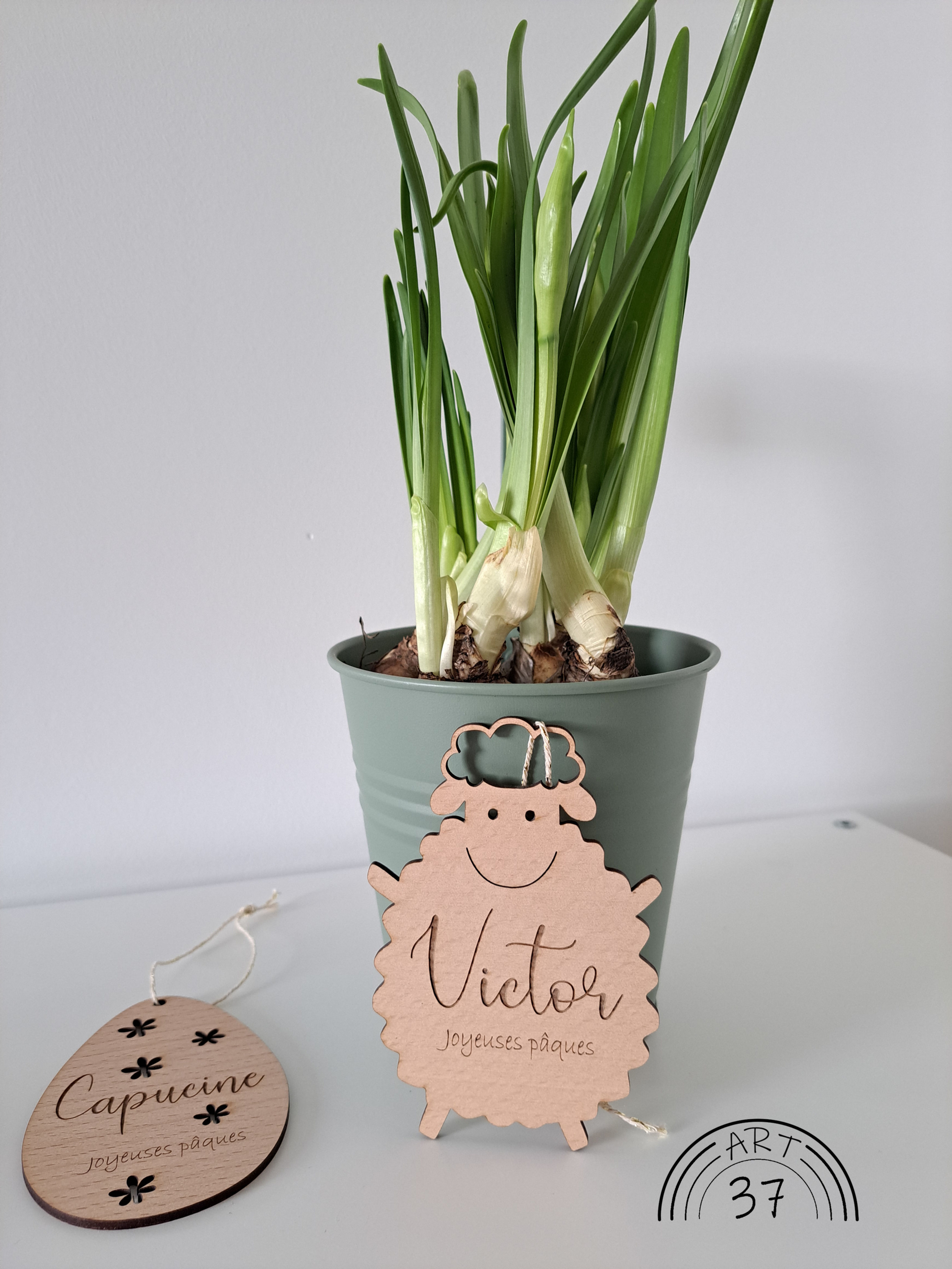 Suspension "mouton" personnalisée