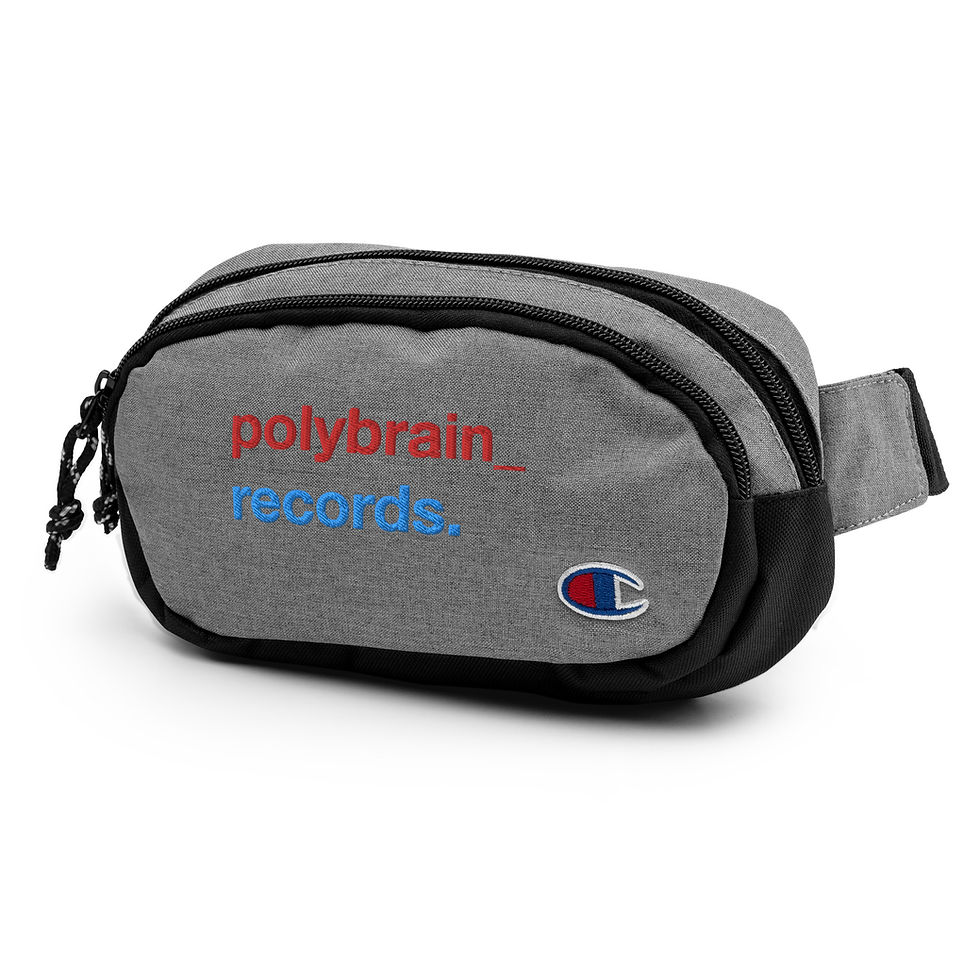Thumbnail: PolyBrain Fanny Pack