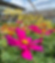 Mother's Day Weekend at Painters