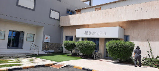 Blush Salon image