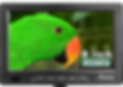 8inchmonitor.PNG