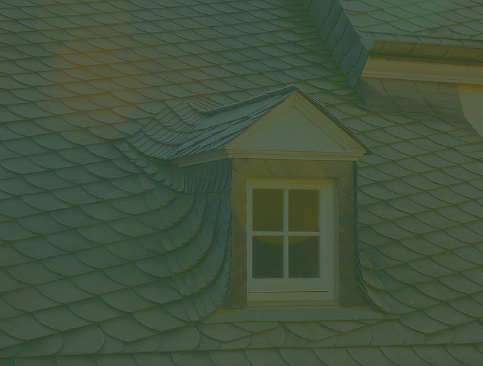 WHC Brand Book_edited_edited_edited.jpg