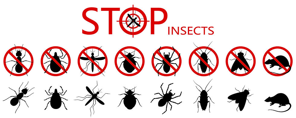 Wake Forest pest control