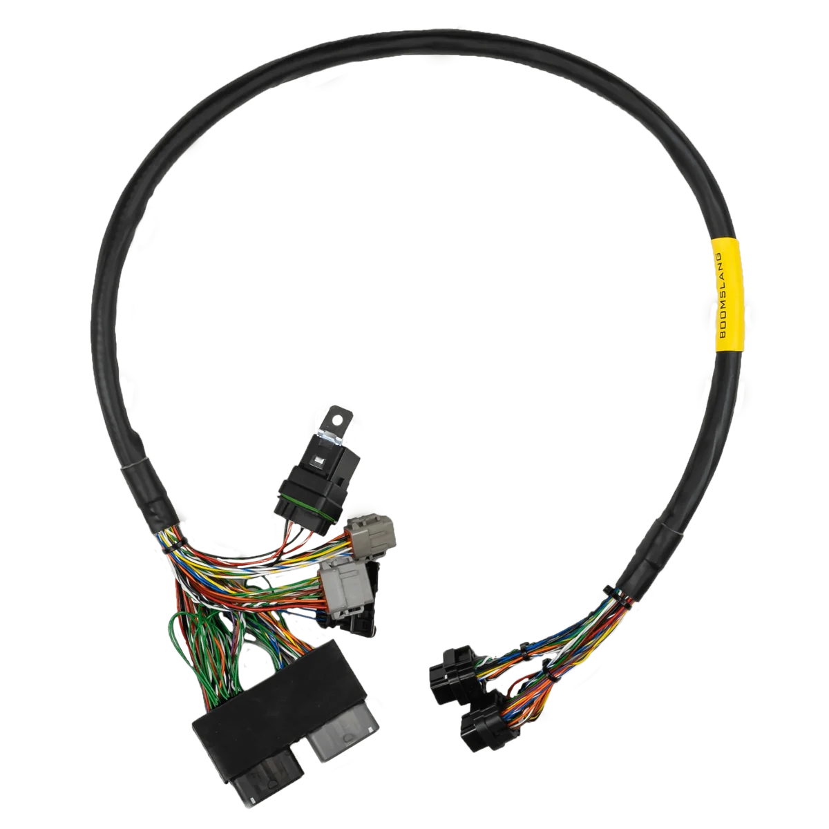 FT550 Rotax 300 Harness