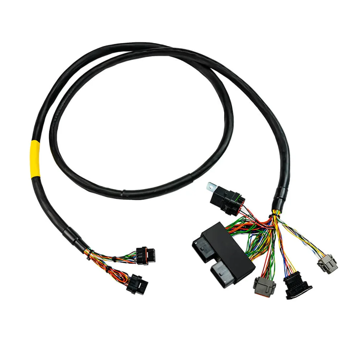 FT550 Rotax 300 Harness 3