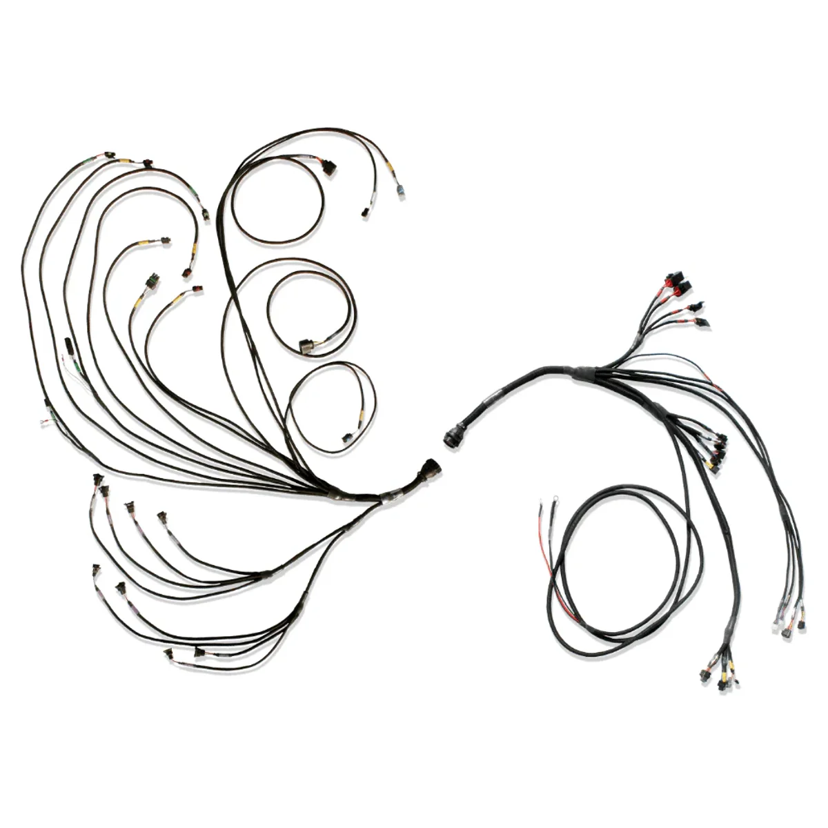 FT600 PRO V8 Complete Harness 2